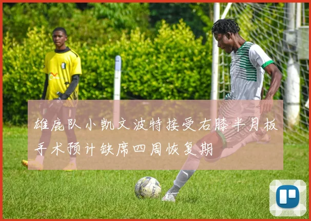 雄鹿队小凯文波特接受右膝半月板手术预计缺席四周恢复期