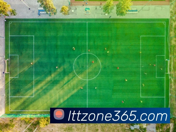 App Interface Preview